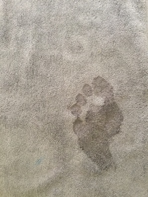 Jim's footprint
