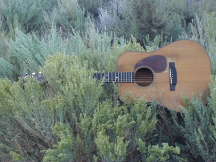 my 1946 Martin D18 resting in the sage my 1946 Martin D18 resting in the sage