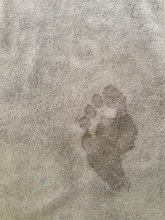 Jim's footprint
Jim's footprint