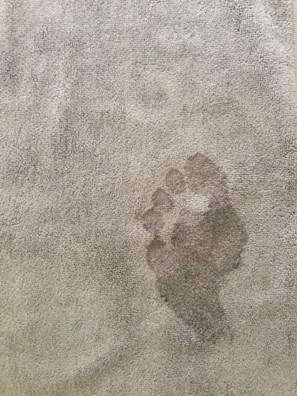 Jim's footprint
Jim's footprint